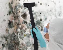 Best Mold Remediation for Healthcare Facilities  in Kenneth City, FL